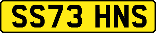 SS73HNS