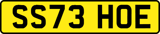 SS73HOE
