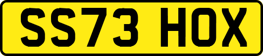 SS73HOX