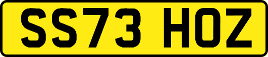 SS73HOZ