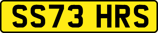 SS73HRS