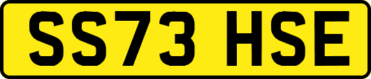 SS73HSE