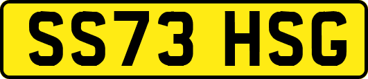 SS73HSG