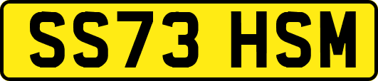 SS73HSM