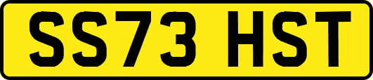 SS73HST