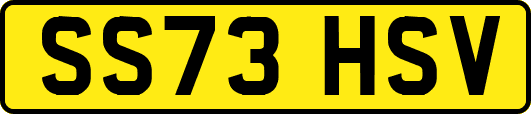 SS73HSV