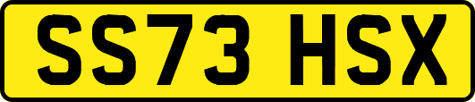 SS73HSX