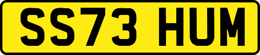SS73HUM