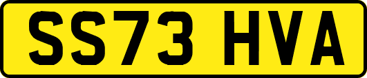 SS73HVA