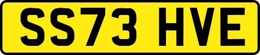 SS73HVE