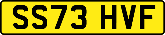 SS73HVF