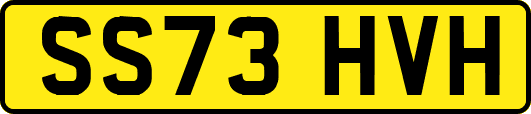 SS73HVH
