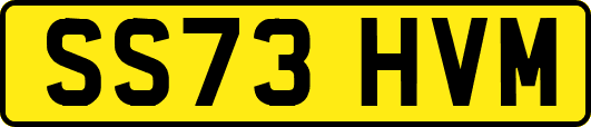 SS73HVM