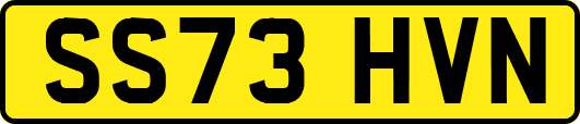 SS73HVN