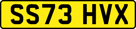 SS73HVX
