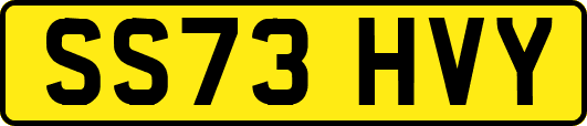 SS73HVY