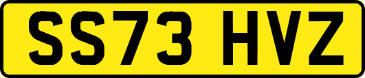 SS73HVZ