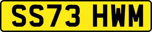 SS73HWM