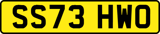 SS73HWO