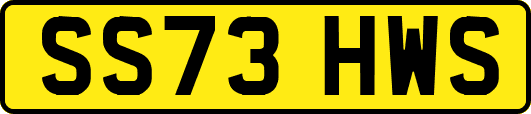 SS73HWS