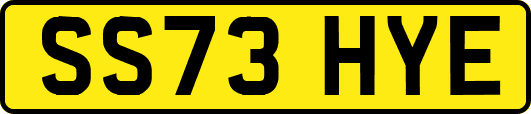 SS73HYE