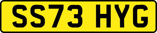 SS73HYG