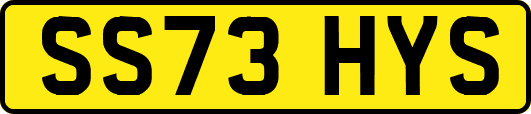 SS73HYS