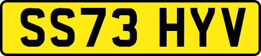 SS73HYV