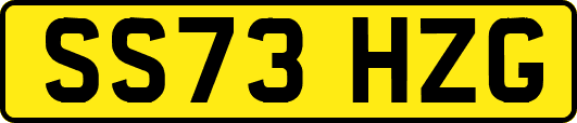 SS73HZG
