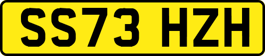 SS73HZH