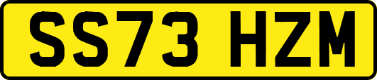 SS73HZM