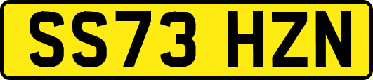 SS73HZN