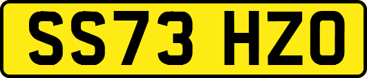 SS73HZO