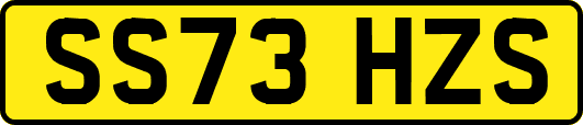 SS73HZS