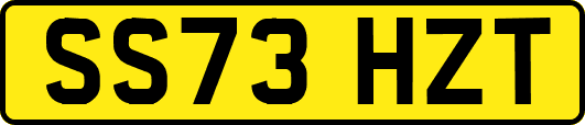SS73HZT