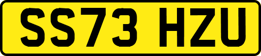 SS73HZU