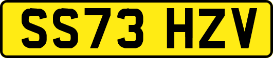 SS73HZV
