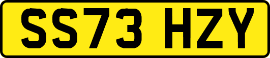 SS73HZY