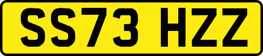 SS73HZZ