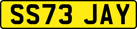 SS73JAY