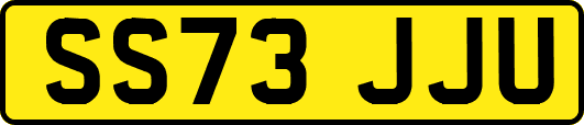 SS73JJU