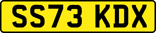 SS73KDX