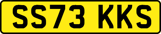 SS73KKS