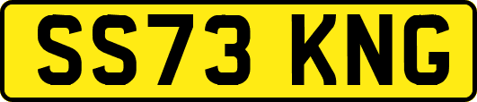 SS73KNG