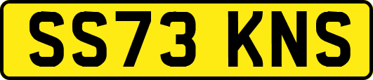 SS73KNS