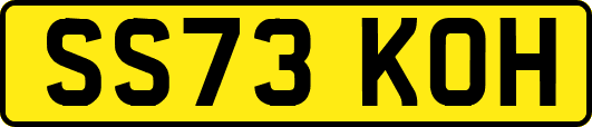 SS73KOH