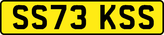 SS73KSS
