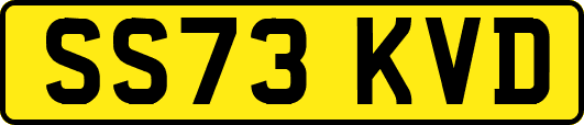 SS73KVD