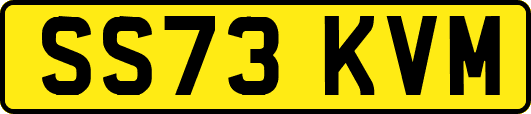 SS73KVM