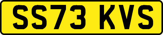 SS73KVS